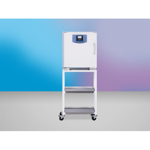 Лабораторный инкубатор BMT INCUCELL 55 ECO line, 55 л