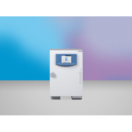 Лабораторный инкубатор BMT INCUCELL 22 EVO (22 л, до 100 °C)