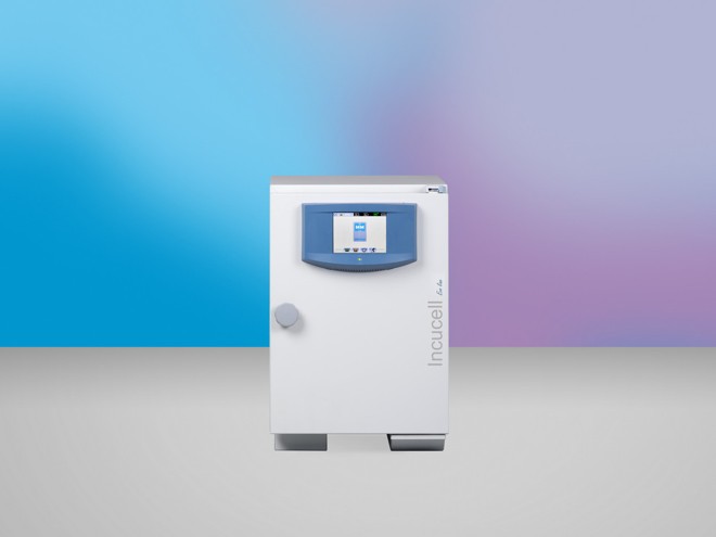 Лабораторный инкубатор BMT INCUCELL 22 EVO (22 л, до 100 °C) Лабораторный инкубатор BMT INCUCELL 22 EVO (22 л, до 100 °C)