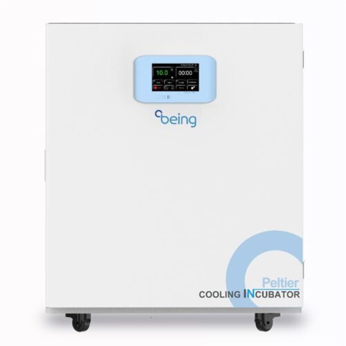 Охлаждающий инкубатор Пельтье BEC-100, 100 л, 0…65 °C