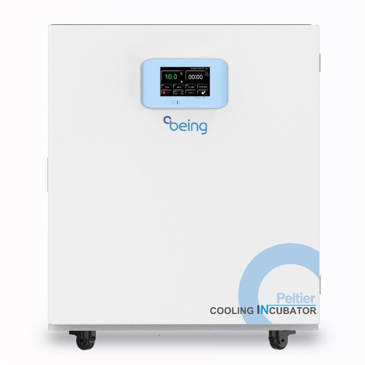 Охлаждающий инкубатор Пельтье BEC-50, 50 л, 0…65 °C Охлаждающий инкубатор Пельтье BEC-50, 50 л, 0…65 °C