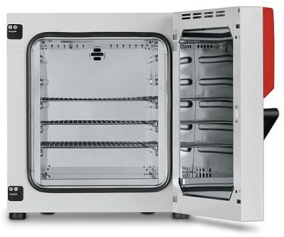 Сушильный шкаф Binder ED 115 Avantgarde.Line (114 л, 300°C)
