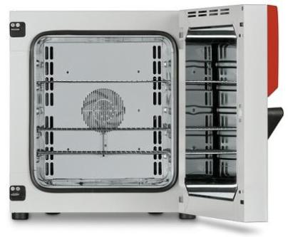 Сушильный шкаф Binder FD 53 (FD 56) Avantgarde.Line, 60 л, 300°C