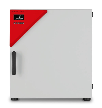 Лабораторный инкубатор Binder BF 56 с принудительной конвекцией (9010-0313)