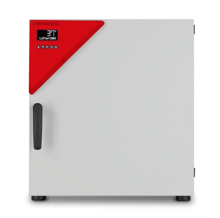 Инкубатор Binder BD 56 с естественной конвекцией (9010-0323)